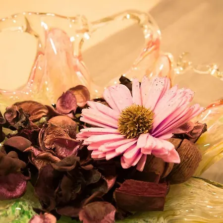 Daddy's House * מטרה